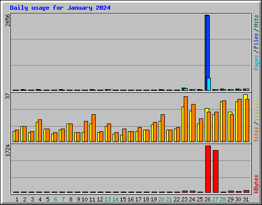Daily usage for January 2024