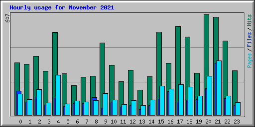Hourly usage for November 2021