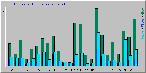 Hourly usage for December 2021