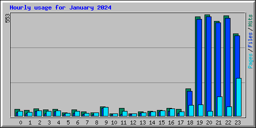 Hourly usage for January 2024