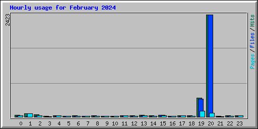 Hourly usage for February 2024