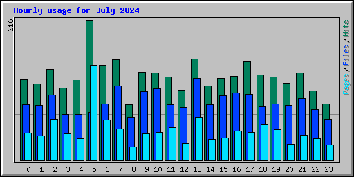 Hourly usage for July 2024