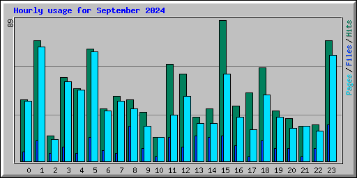 Hourly usage for September 2024