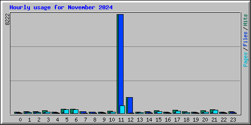 Hourly usage for November 2024