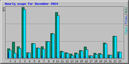 Hourly usage for December 2024