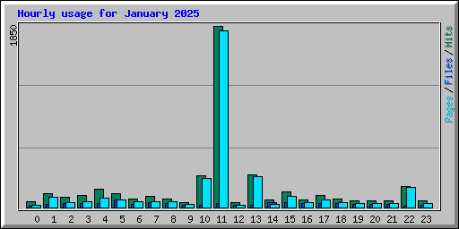 Hourly usage for January 2025