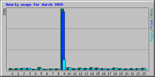 Hourly usage for March 2025
