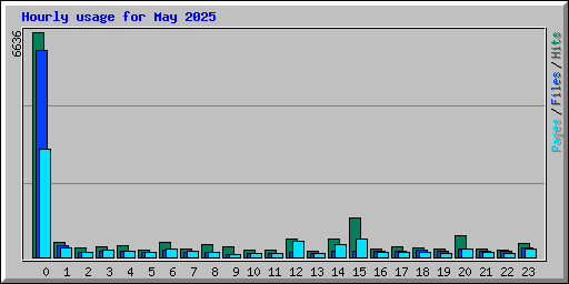 Hourly usage for May 2025