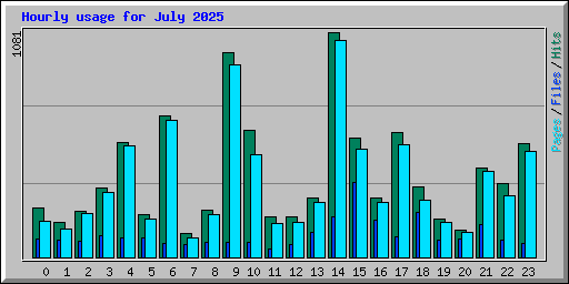 Hourly usage for July 2025