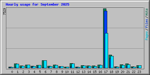 Hourly usage for September 2025