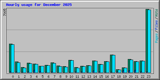 Hourly usage for December 2025