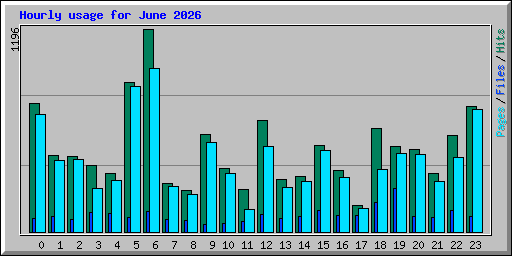 Hourly usage for June 2026