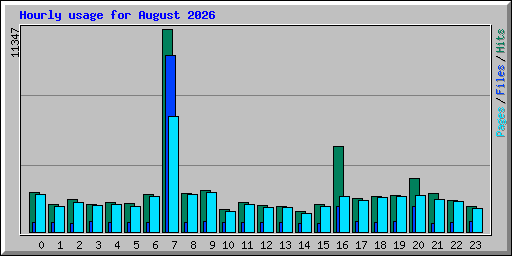Hourly usage for August 2026
